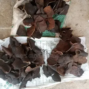 Ponmo Ijebu
