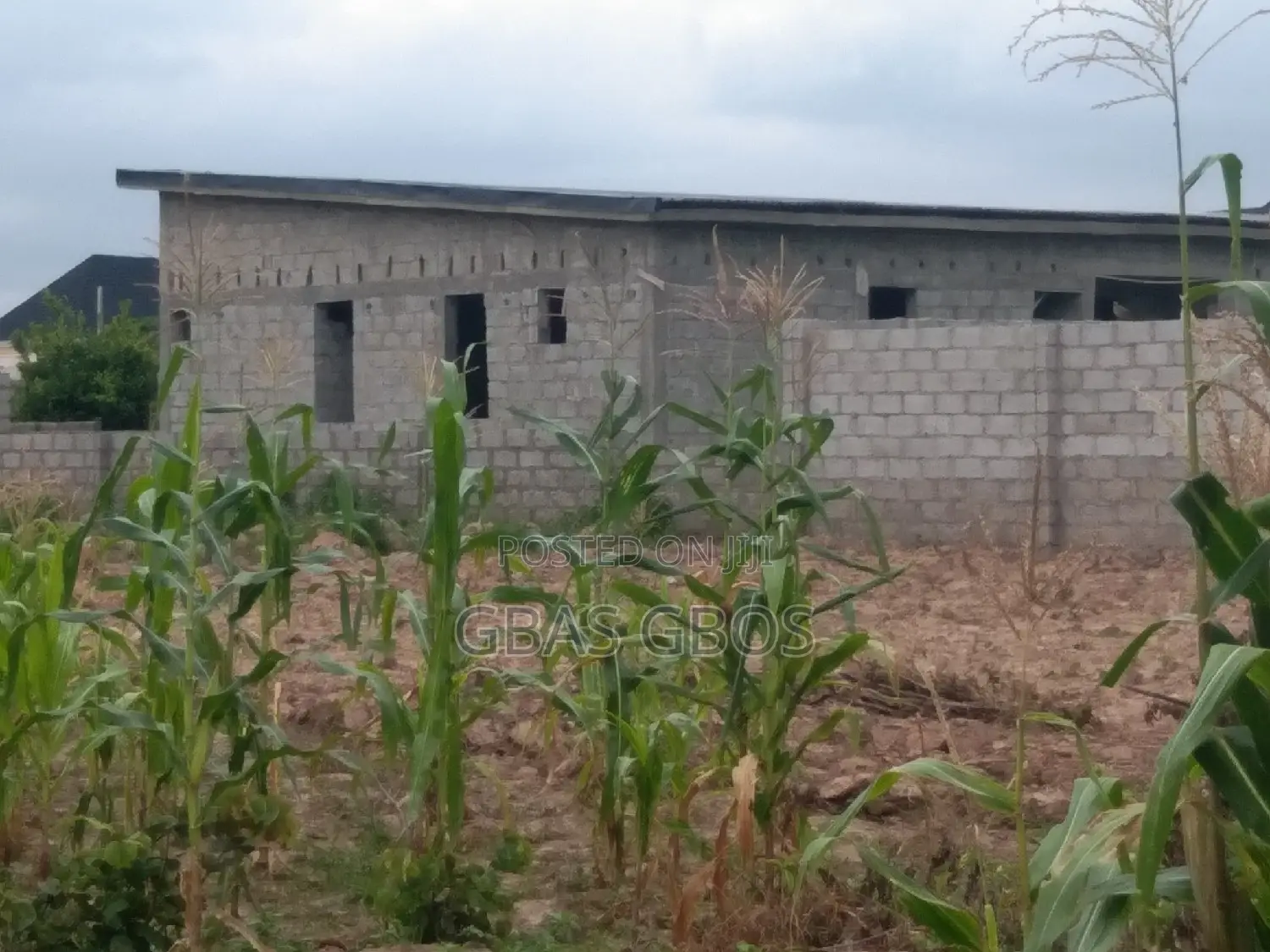 Road Side Half Plot for Lease
