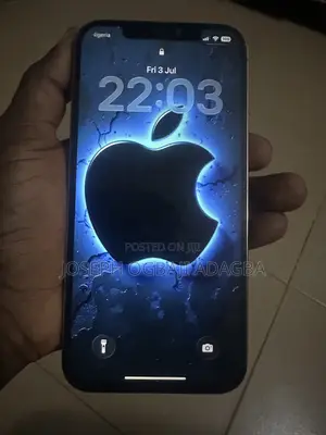 Apple iPhone 12 Pro Max 256 GB Rose Gold