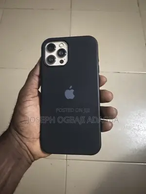 Apple iPhone 12 Pro Max 256 GB Rose Gold
