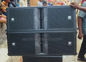 Steck Audio Dual 12-inch Professional Line Array Speakers.