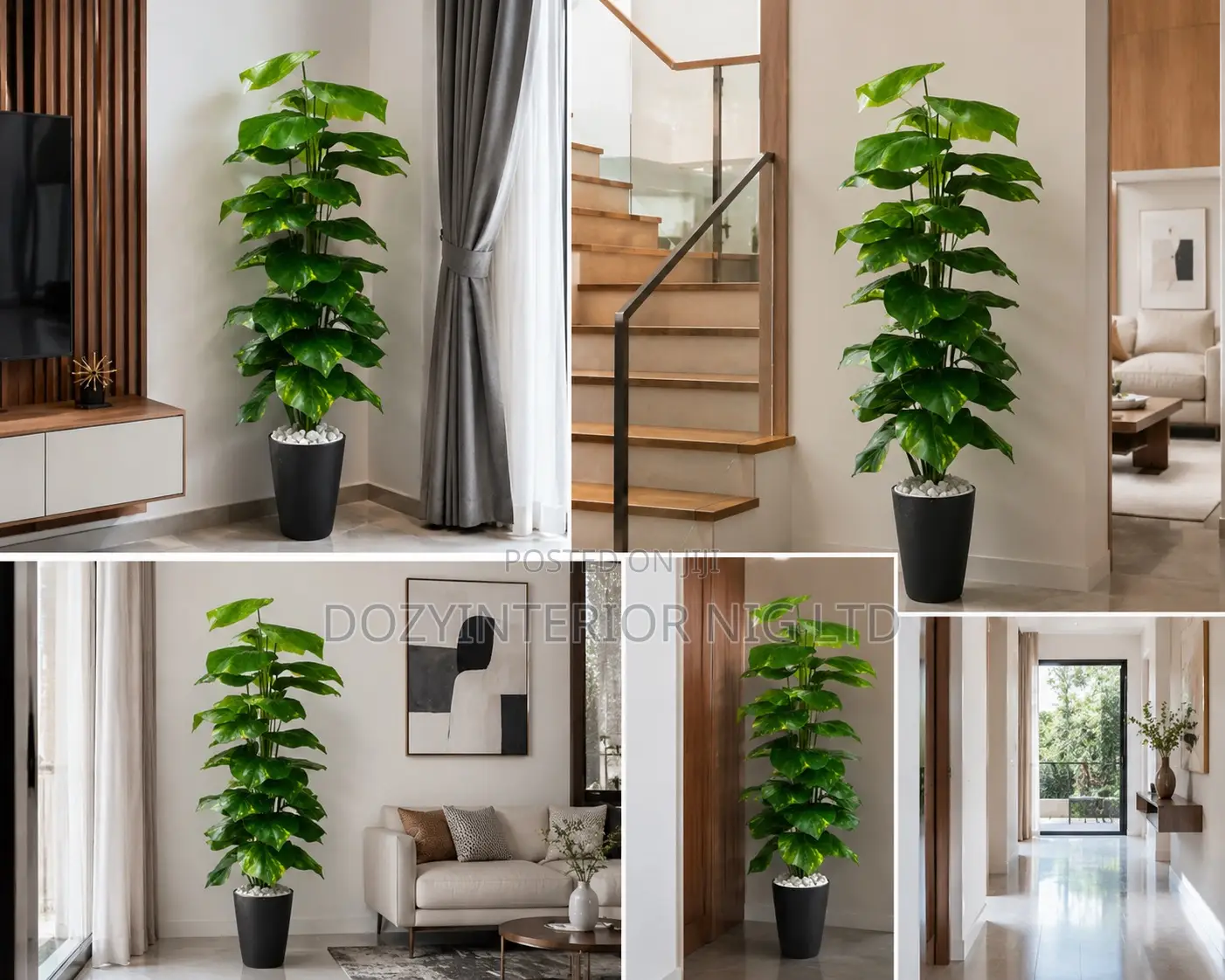 Good House Flower