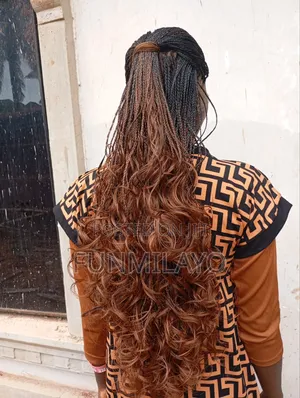 Braided Wig
