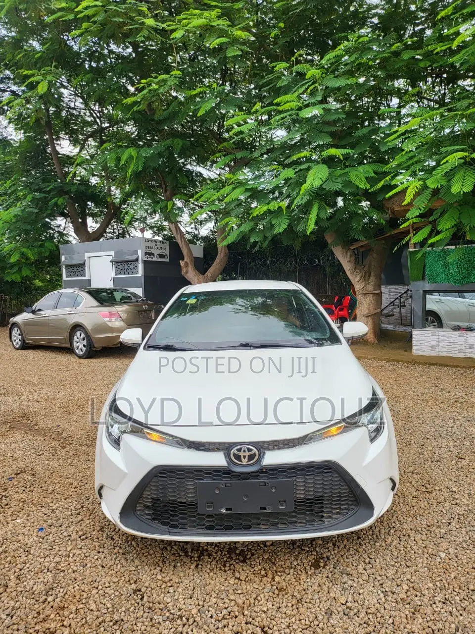 Toyota Corolla 2021 White