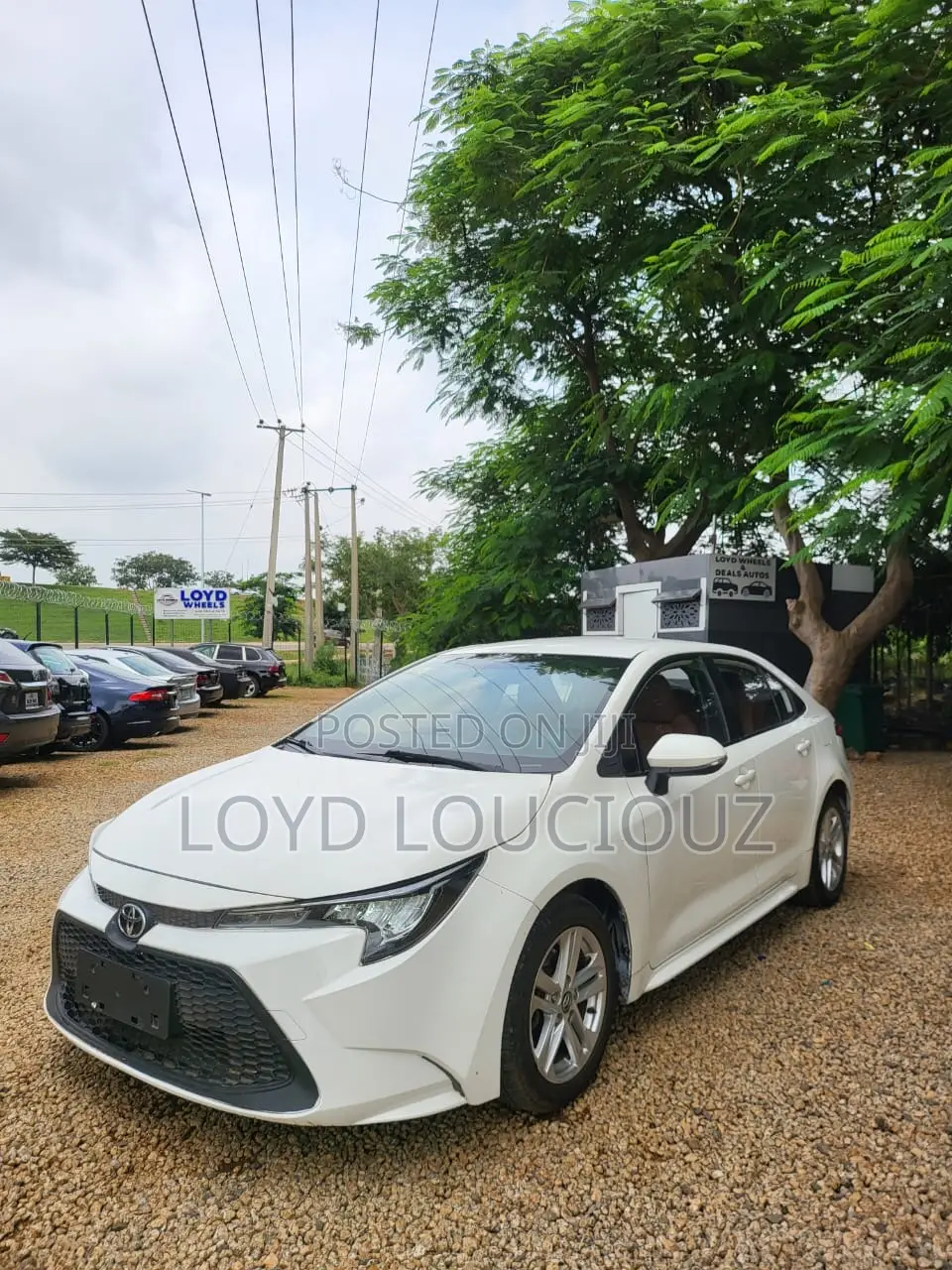 Toyota Corolla 2021 White