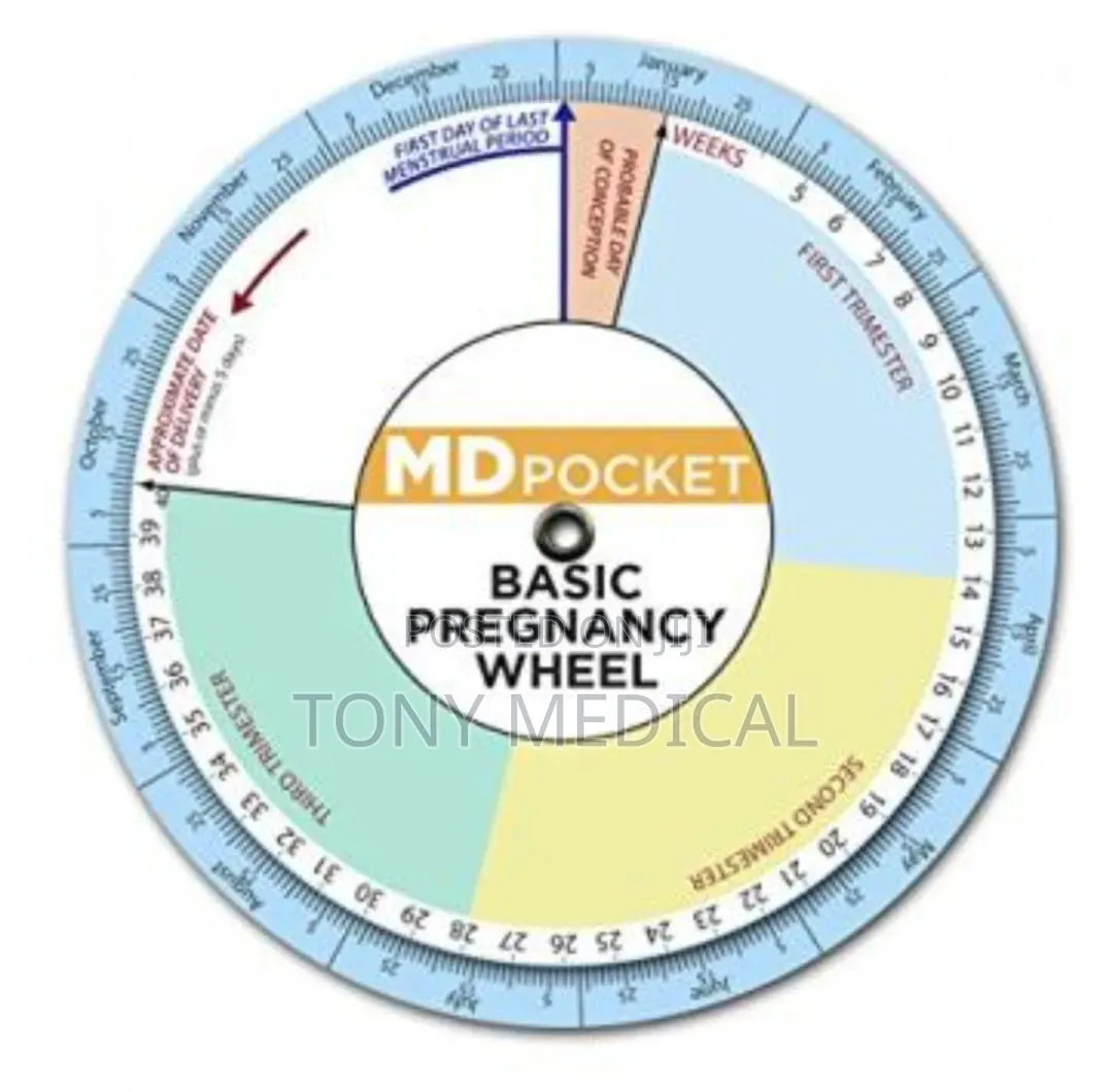 Basic Pregnancy Cycle Wheels