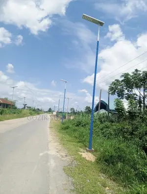 100w Solar Light for Highway Project