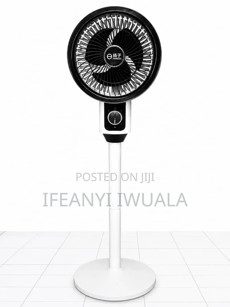 Mini Electric Standing Fan With Remote Control