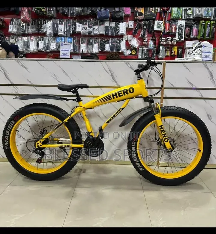 Hero Fat Tire Bicycle