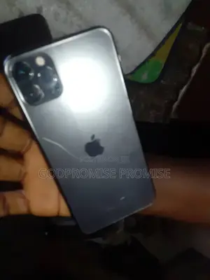 Apple iPhone 11 Pro Max 256 GB Gray