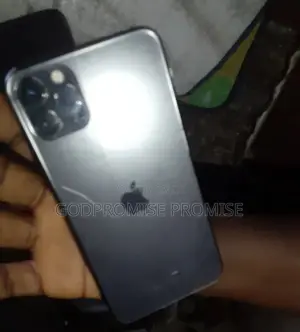 Apple iPhone 11 Pro Max 256 GB Gray
