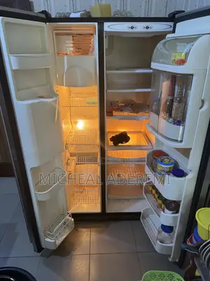 450l Side By Side Refrigerator