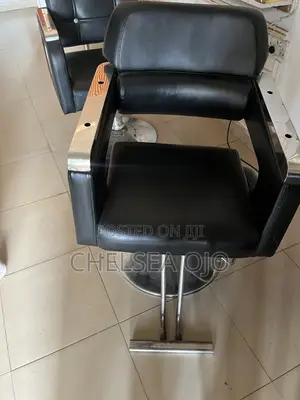 Salon Chair