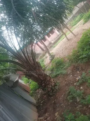 Land for Sale in Maraba Close to Maraba Junction and the Flyover