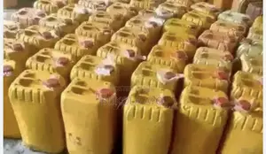 Palm Oil 25 Litres