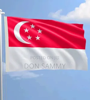Singapore Visa With Job Link