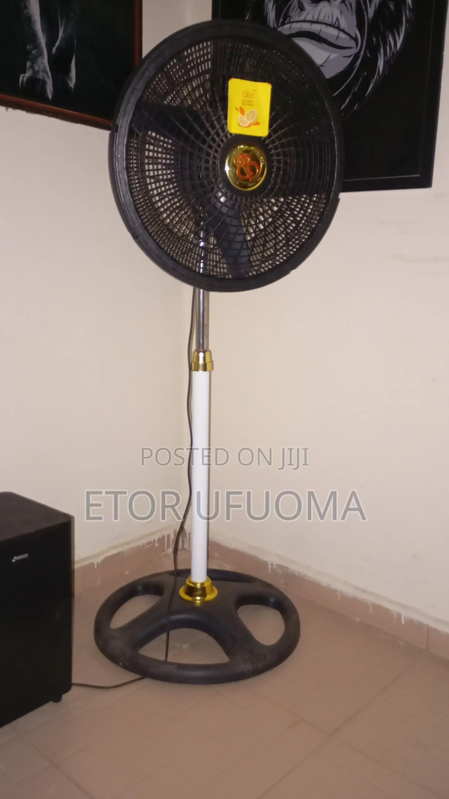 Standing Fan