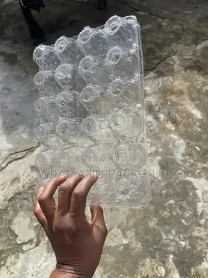24 Holes Transparent Egg Crates