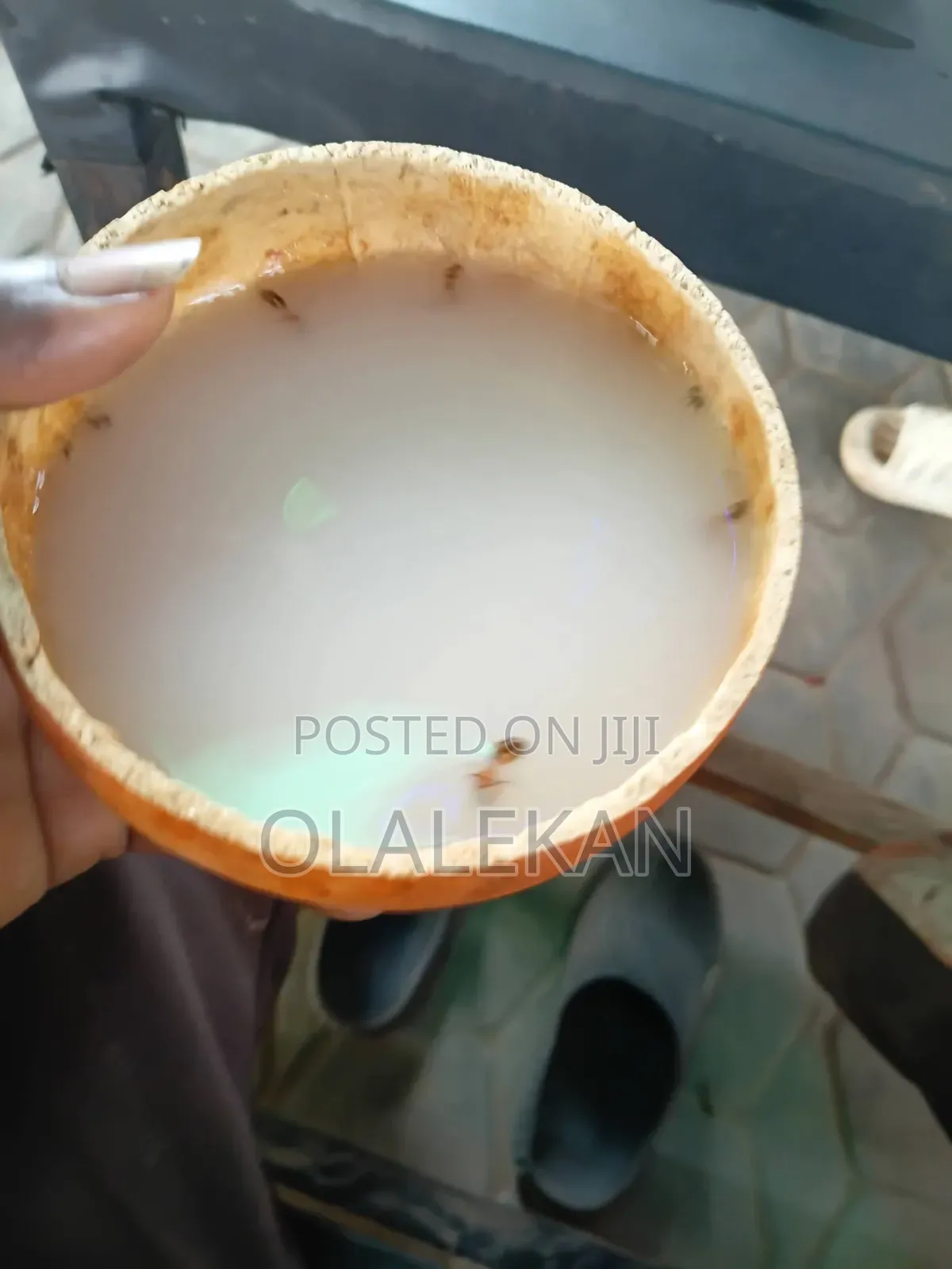 Fresh Palm Wine