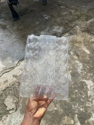 24 Holes Transparent Egg Crates