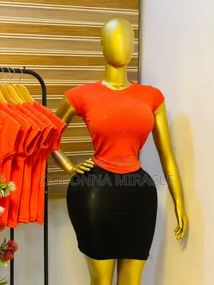 The Plug for All Type of Ladies Basic Top