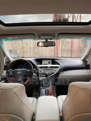 Lexus RX 350 2010 Gray