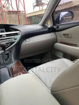 Lexus RX 350 2010 Gray