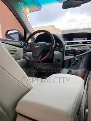 Lexus RX 350 2010 Gray