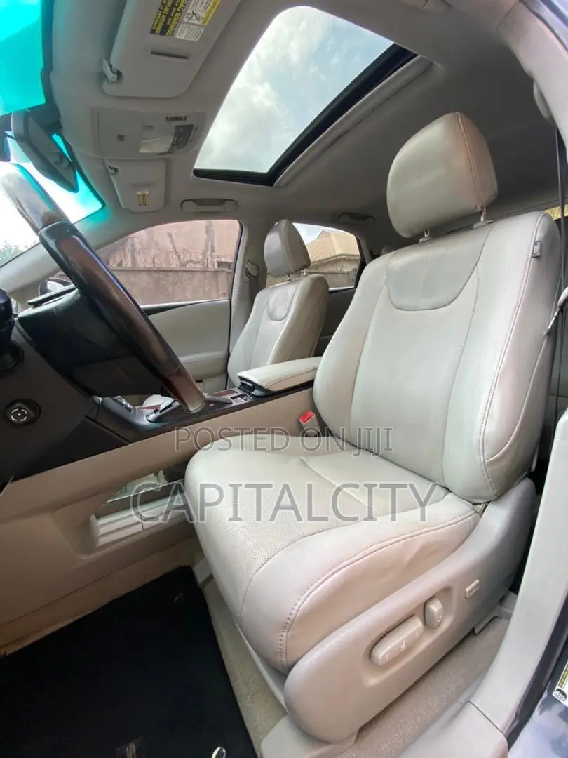 Lexus RX 350 2010 Gray