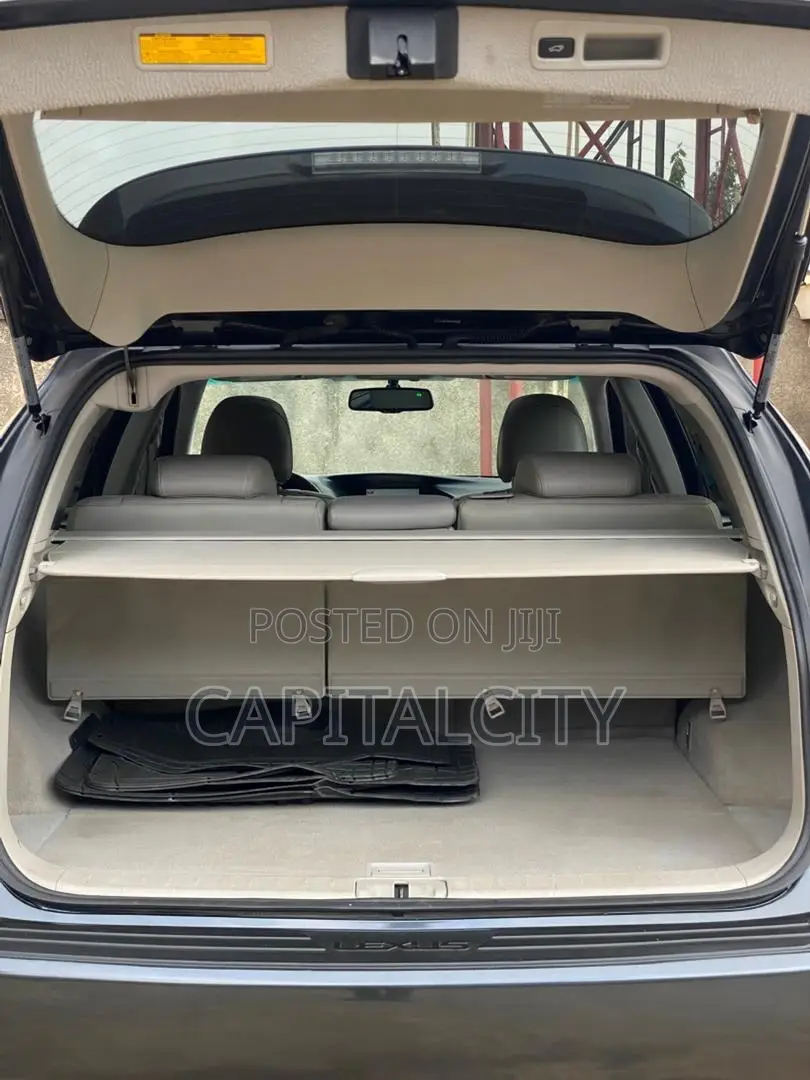 Lexus RX 350 2010 Gray