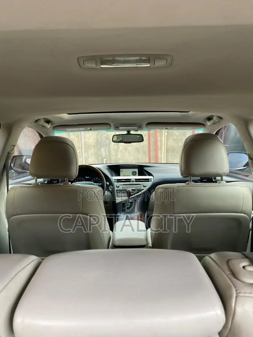 Lexus RX 350 2010 Gray