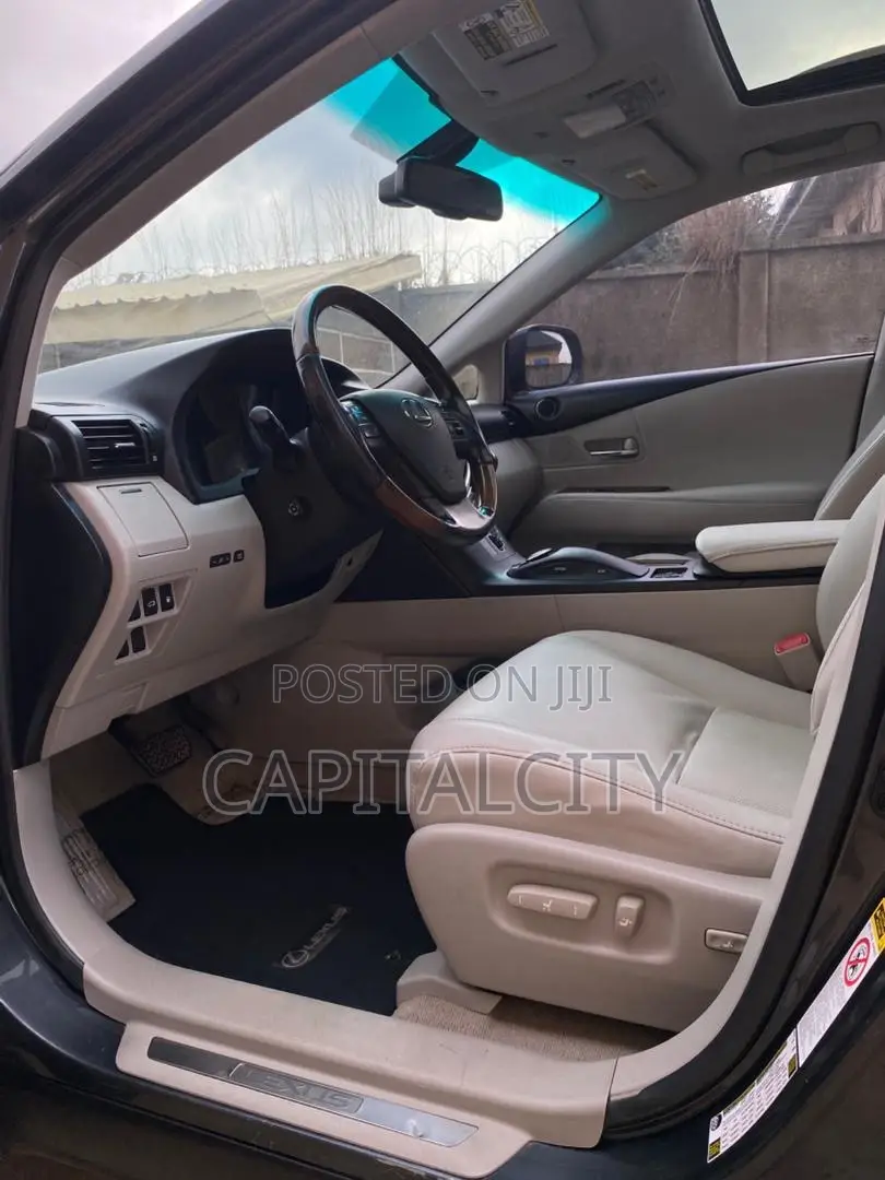 Lexus RX 350 2010 Gray