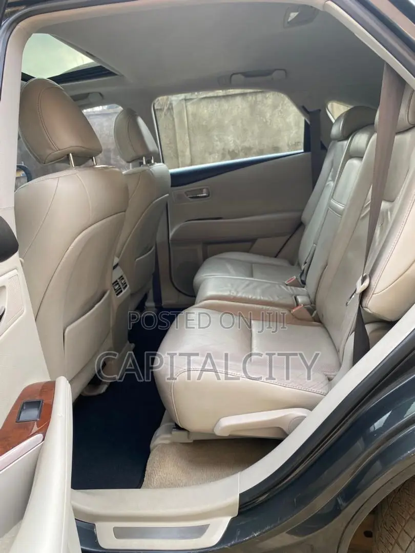 Lexus RX 350 2010 Gray