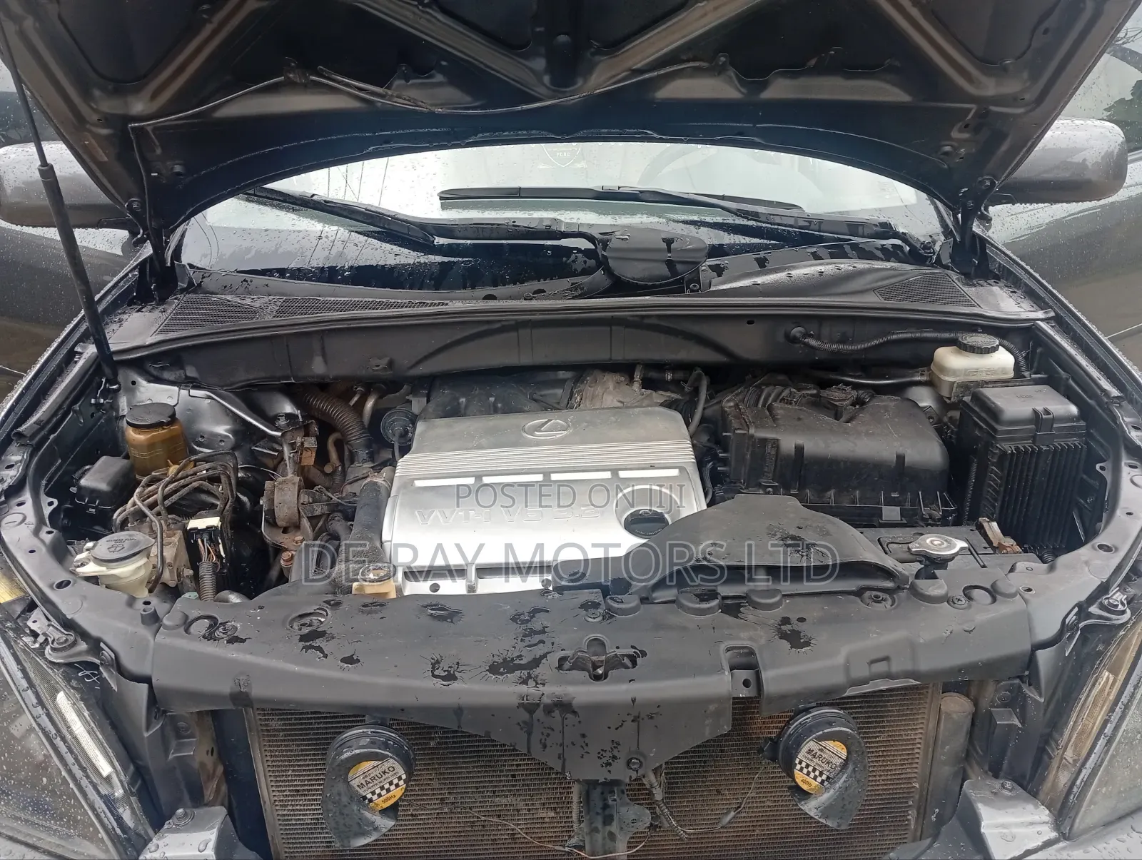 Lexus RX 2005 Gray