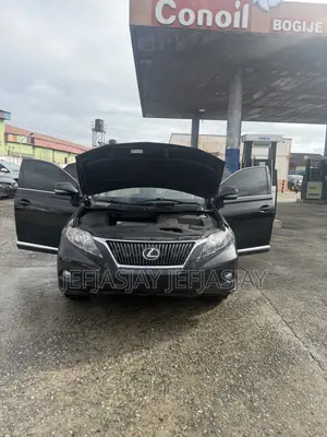 Lexus RX 2010 Black