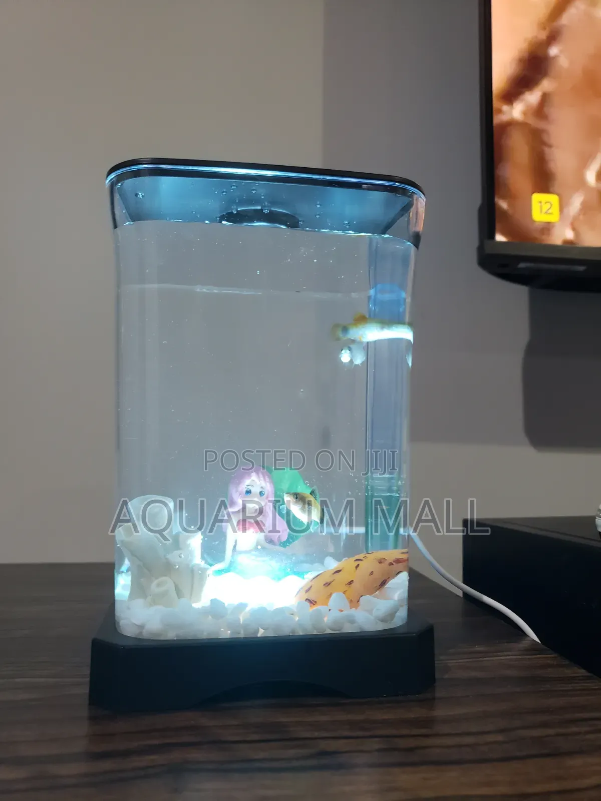 Mini Aquarium