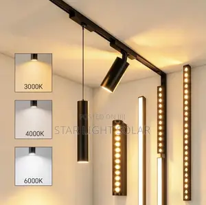 Magnetic Profile Light Luxury We Bring to Your Home