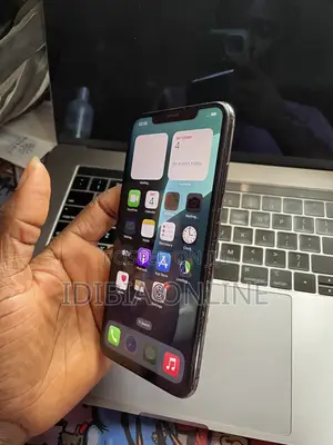 Apple iPhone XS Max 64 GB Gray