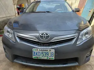 Toyota Camry 2010 Gray