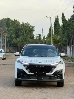 Dongfeng Captain 2025 White