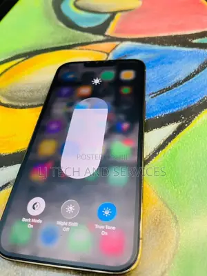 Apple iPhone 13 Pro Max 256 GB Gray