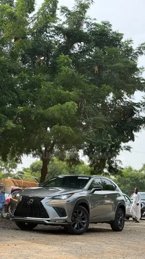 Lexus NX 2022 Gray