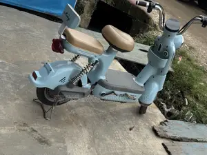 Electric Bike Scutter