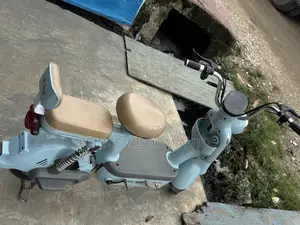 Electric Bike Scutter