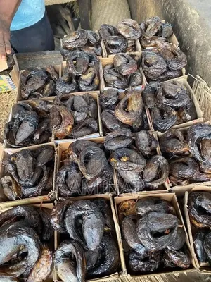 Over Dry Catfish Eja Kika 50pcs - Wholesale Retail | Freshmart Foods