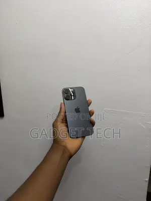 Apple iPhone 15 Pro Max 256 GB Black