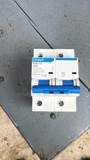 Chint NXB-125 2p MCB