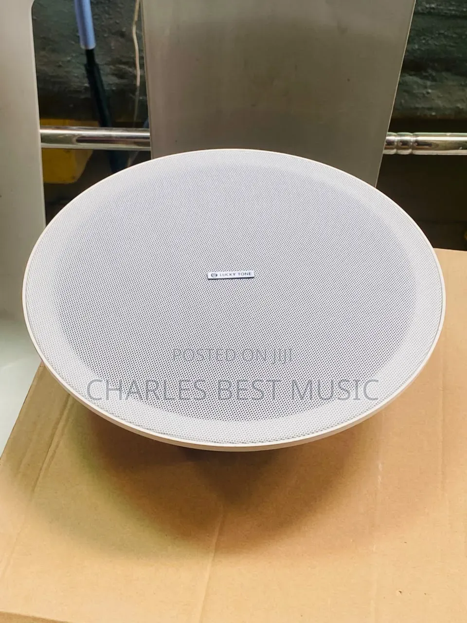 Celling Speaker