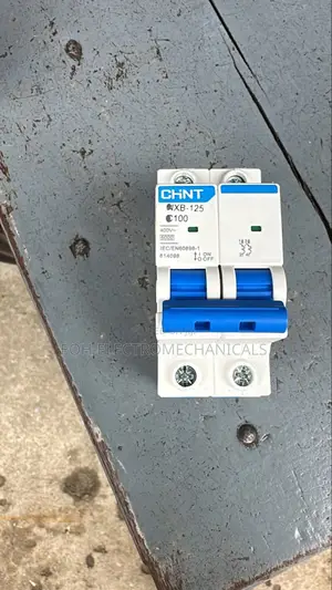 Chint NXB-125 2p MCB