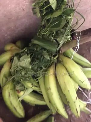 Fresh Green Vegetables At Affordable Prices